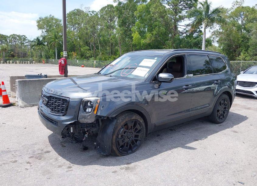 Photo 2 of 2021 Kia Telluride SX (VIN 5XYP5DHCXMG105568)