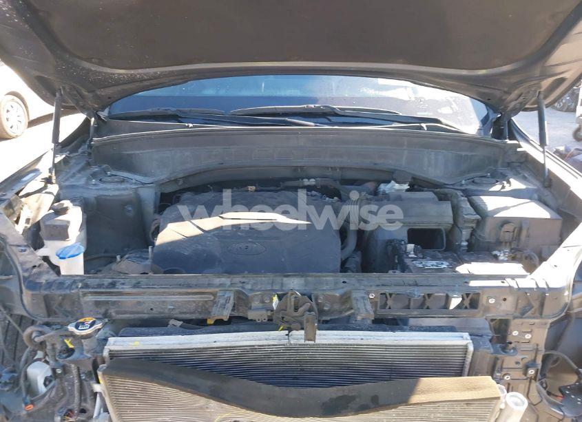 Photo 10 of 2021 Kia Telluride SX (VIN 5XYP5DHCXMG141003)