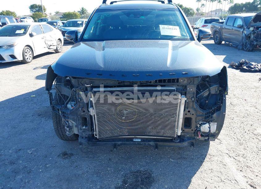Photo 6 of 2021 Kia Telluride SX (VIN 5XYP5DHCXMG141003)