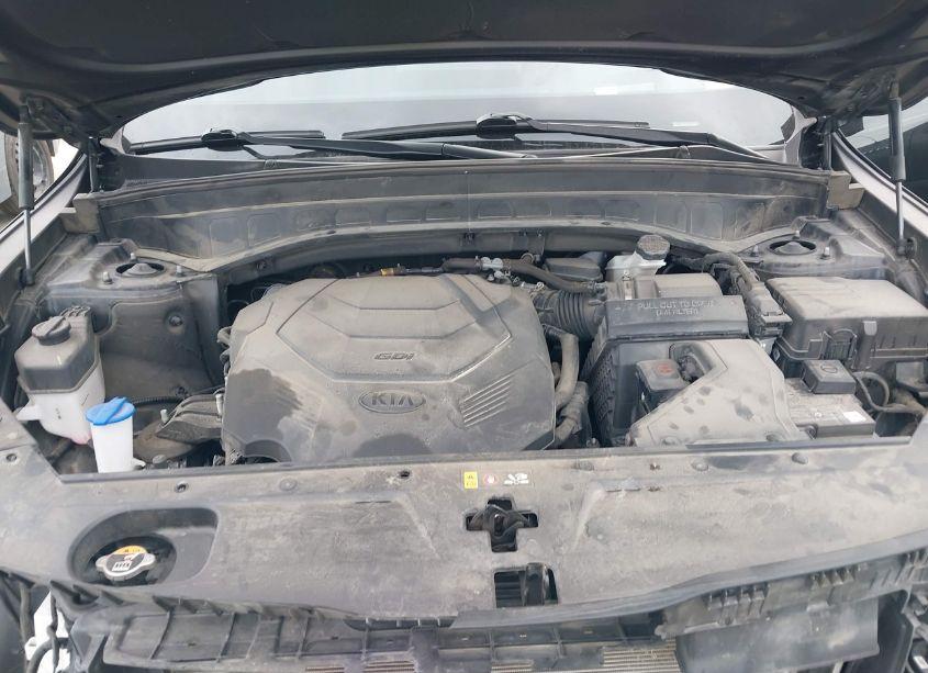 Photo 10 of 2021 Kia Telluride SX (VIN 5XYP5DHCXMG167973)