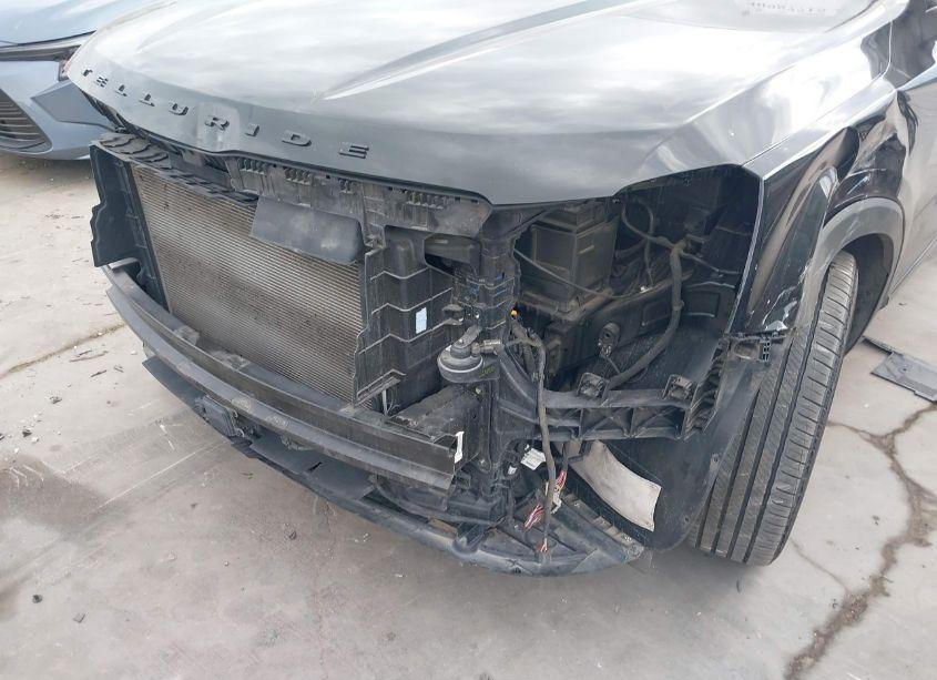 Photo 6 of 2021 Kia Telluride SX (VIN 5XYP5DHCXMG167973)