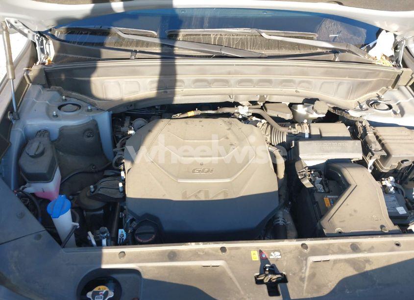 Photo 10 of 2022 Kia Telluride SX (VIN 5XYP5DHCXNG195774)