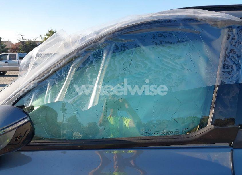 Photo 19 of 2022 Kia Telluride SX (VIN 5XYP5DHCXNG195774)