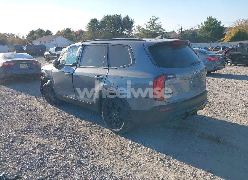 Photo 3 of 2022 Kia Telluride SX (VIN 5XYP5DHCXNG195774)