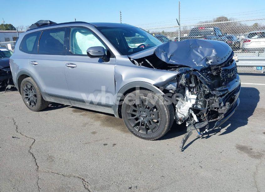 2022 Kia Telluride SX (VIN 5XYP5DHCXNG201556) main photo