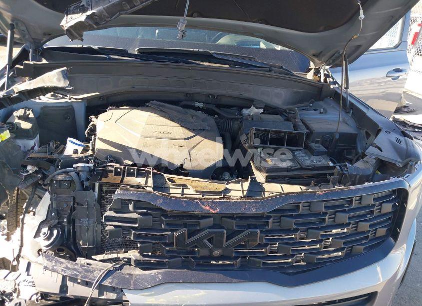 Photo 10 of 2022 Kia Telluride SX (VIN 5XYP5DHCXNG201556)