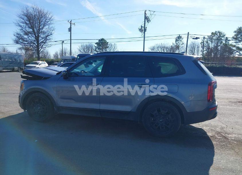Photo 14 of 2022 Kia Telluride SX (VIN 5XYP5DHCXNG201556)