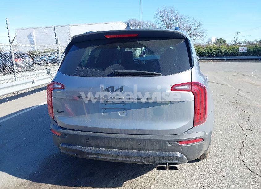 Photo 16 of 2022 Kia Telluride SX (VIN 5XYP5DHCXNG201556)