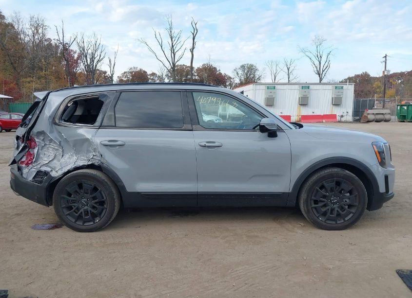 Photo 13 of 2022 Kia Telluride SX (VIN 5XYP5DHCXNG266083)