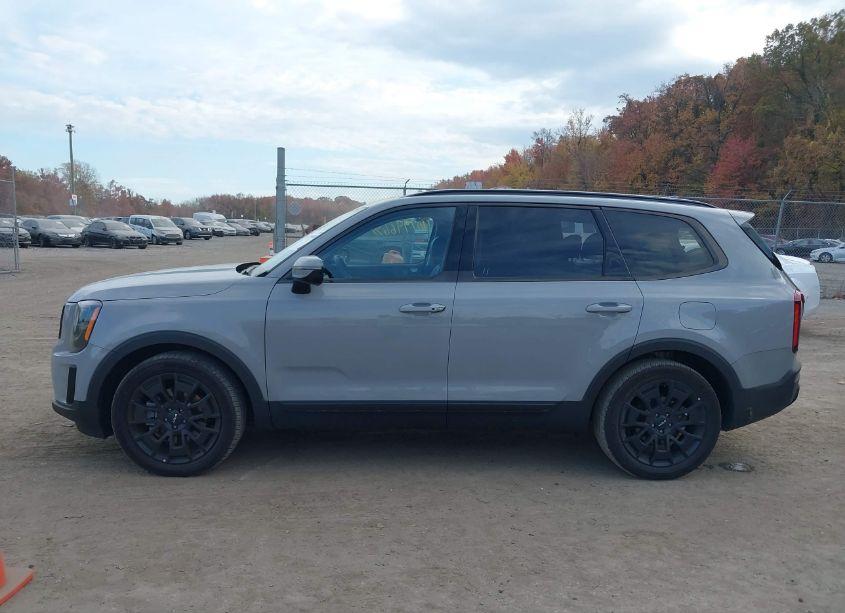 Photo 14 of 2022 Kia Telluride SX (VIN 5XYP5DHCXNG266083)