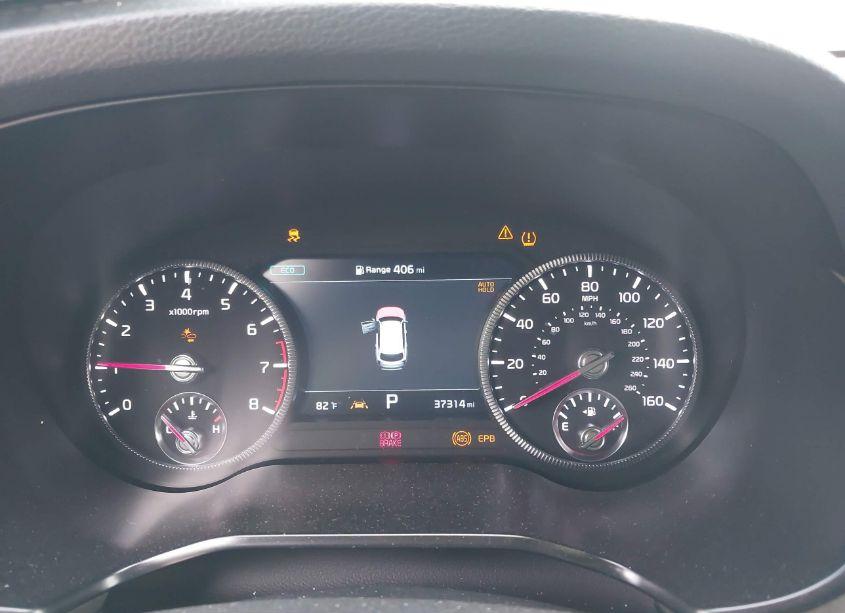 Photo 7 of 2022 Kia Telluride SX (VIN 5XYP5DHCXNG266083)