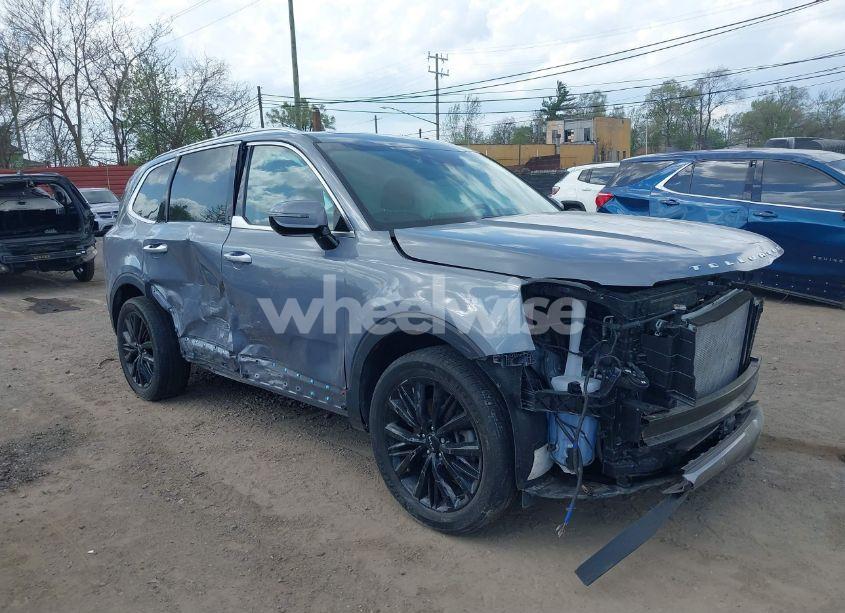 2022 Kia Telluride SX (VIN 5XYP5DHCXNG312382) main photo
