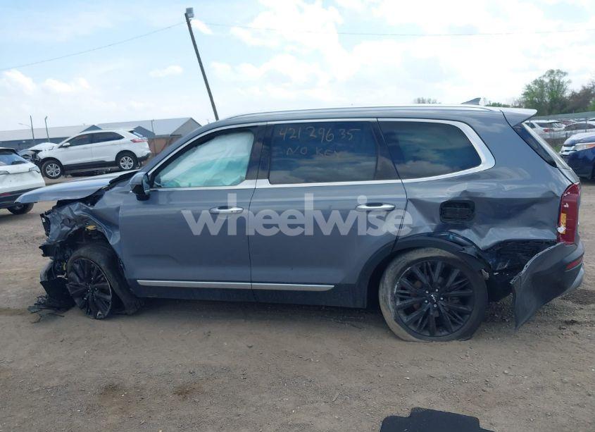 Photo 14 of 2022 Kia Telluride SX (VIN 5XYP5DHCXNG312382)