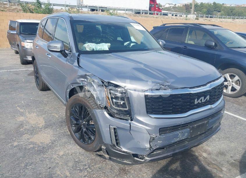 2022 Kia Telluride SX (VIN 5XYP5DHCXNG324015) main photo
