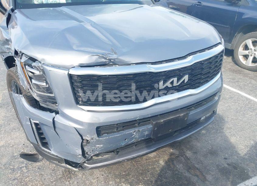 Photo 17 of 2022 Kia Telluride SX (VIN 5XYP5DHCXNG324015)