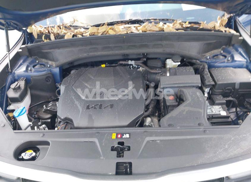 Photo 10 of 2025 Kia Telluride S (VIN 5XYP64GC0SG581646)