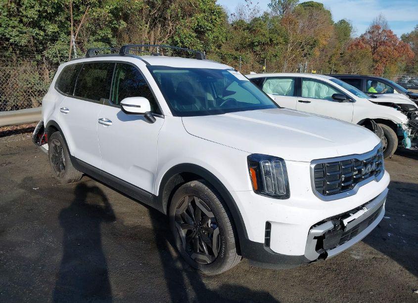 2024 Kia Telluride S (VIN 5XYP64GC1RG563103) main photo