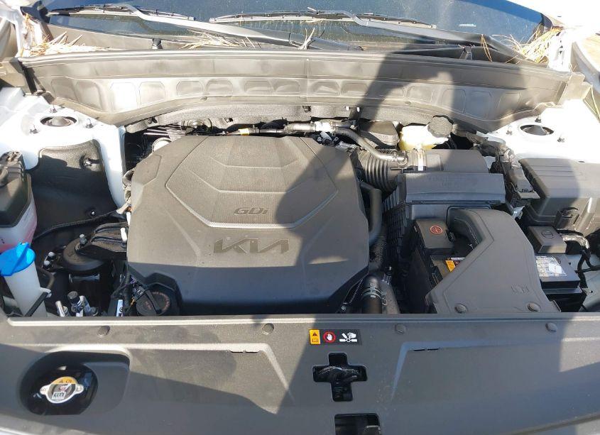 Photo 10 of 2024 Kia Telluride S (VIN 5XYP64GC1RG563103)