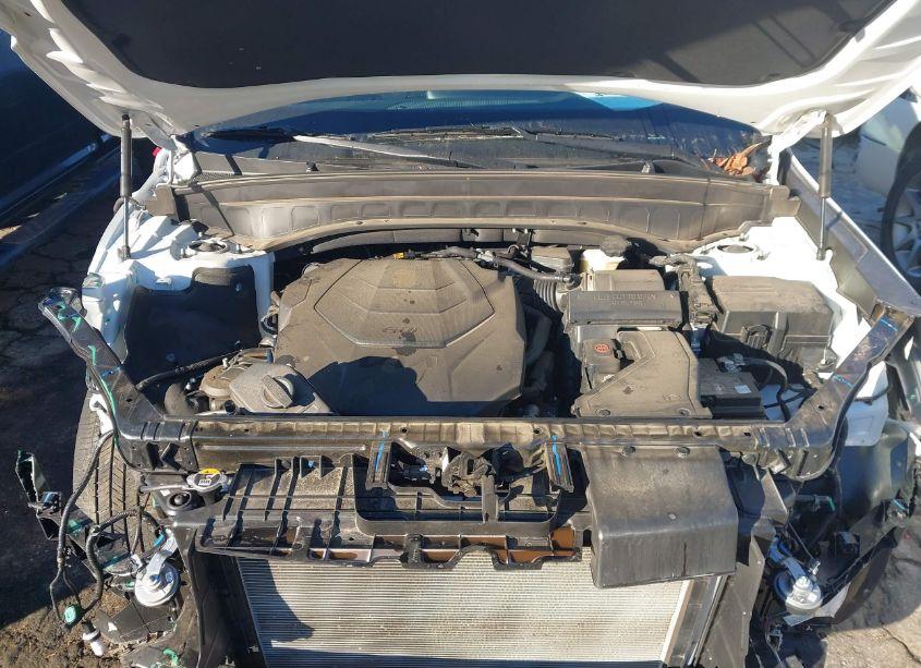 Photo 10 of 2023 Kia Telluride S (VIN 5XYP64GC3PG371419)