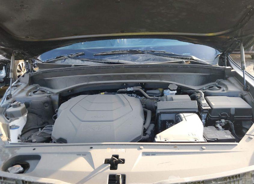 Photo 10 of 2024 Kia Telluride S (VIN 5XYP64GC3RG456084)