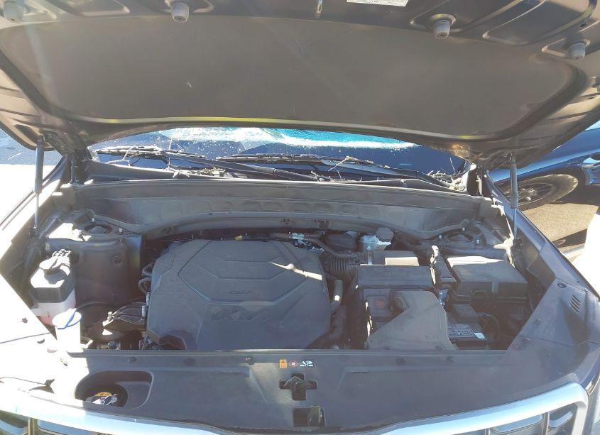 Photo 10 of 2023 Kia Telluride S (VIN 5XYP64GC4PG381781)