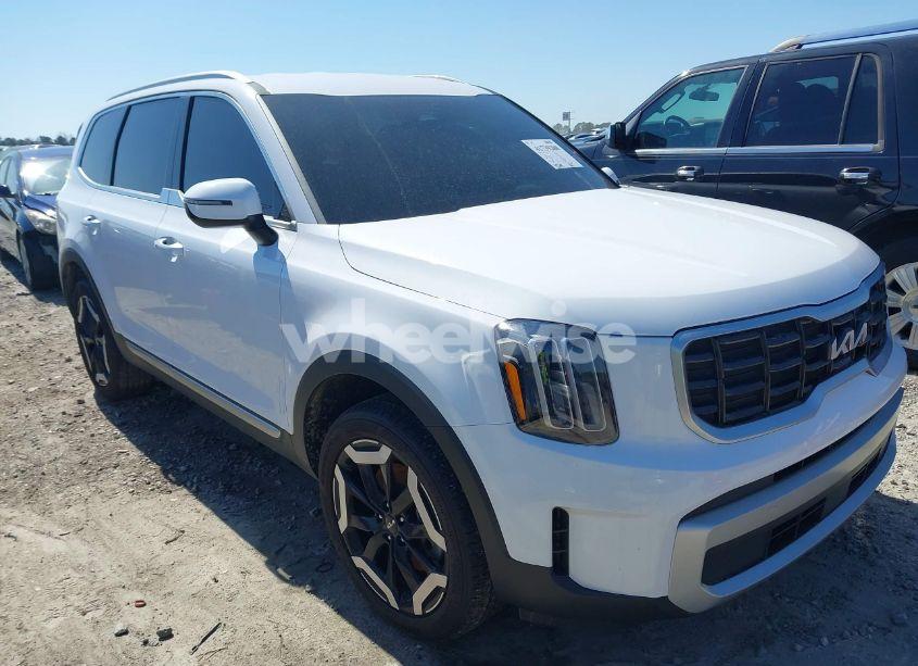 2024 Kia Telluride S (VIN 5XYP64GC5RG499213) main photo