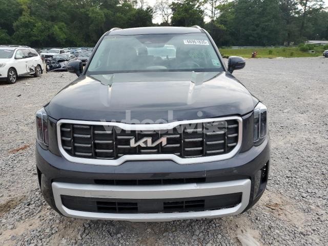 Photo 11 of 2025 KIA TELLURIDE S (VIN 5XYP64GC5SG624202)
