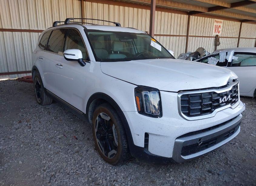 2023 Kia Telluride S (VIN 5XYP64GC7PG331201) main photo