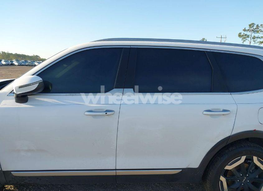 Photo 14 of 2023 Kia Telluride S (VIN 5XYP64GC8PG327724)