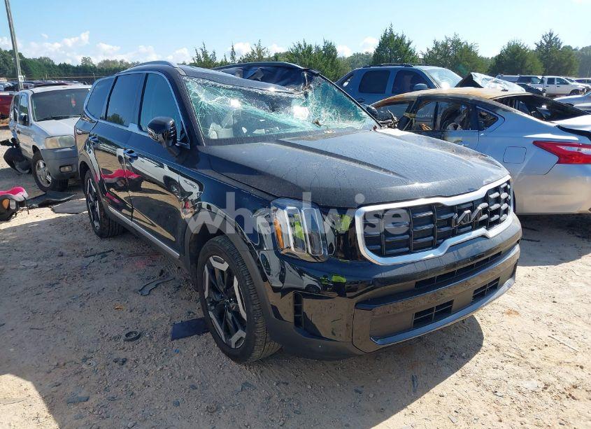 2024 Kia Telluride S (VIN 5XYP64GC9RG488988) main photo
