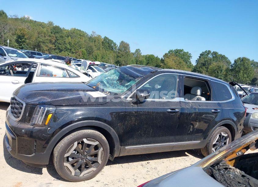Photo 14 of 2024 Kia Telluride S (VIN 5XYP64GC9RG488988)