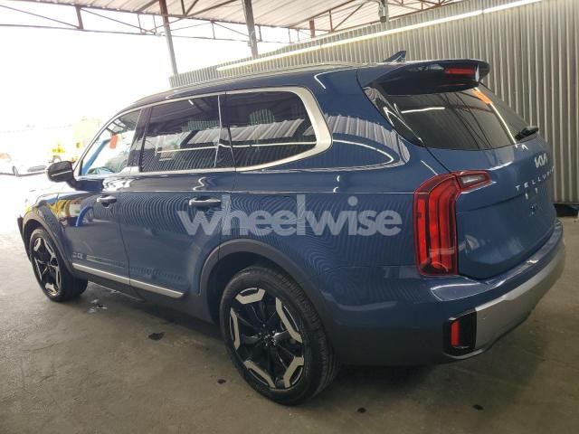 Photo 13 of 2025 KIA TELLURIDE S (VIN 5XYP64GCXSG570654)
