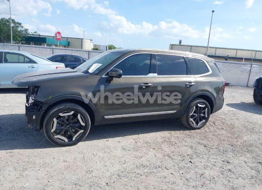 Photo 15 of 2025 Kia Telluride S (VIN 5XYP64GCXSG593593)