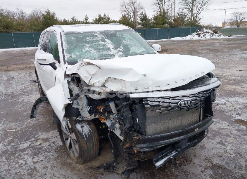 2020 Kia Telluride S (VIN 5XYP64HC4LG036632) main photo