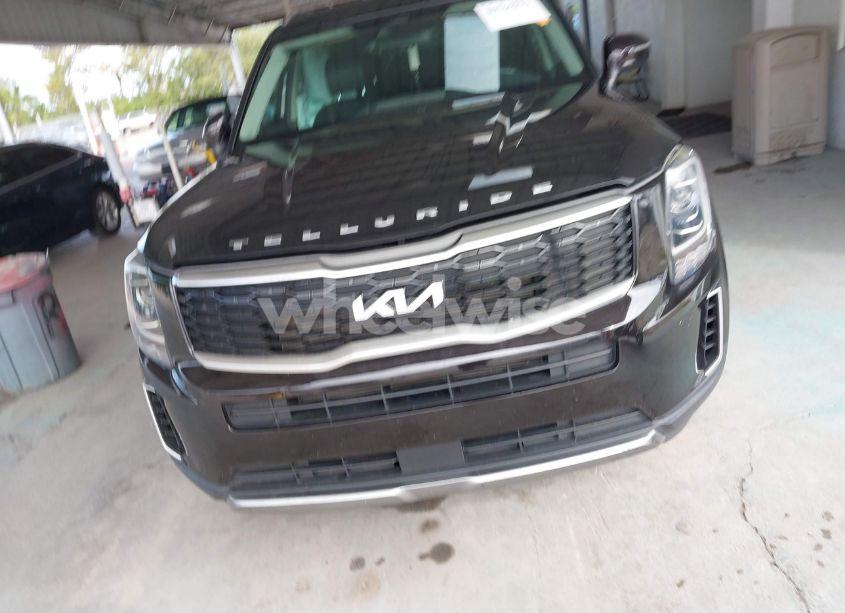 Photo 12 of 2022 Kia Telluride S (VIN 5XYP64HC4NG205180)