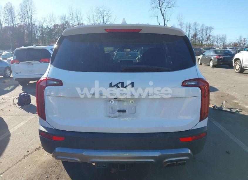 Photo 16 of 2022 Kia Telluride S (VIN 5XYP64HC5NG252606)
