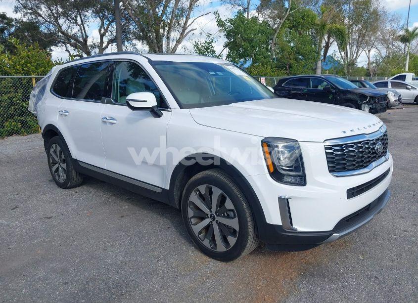 2021 Kia Telluride S (VIN 5XYP64HCXMG116924) main photo