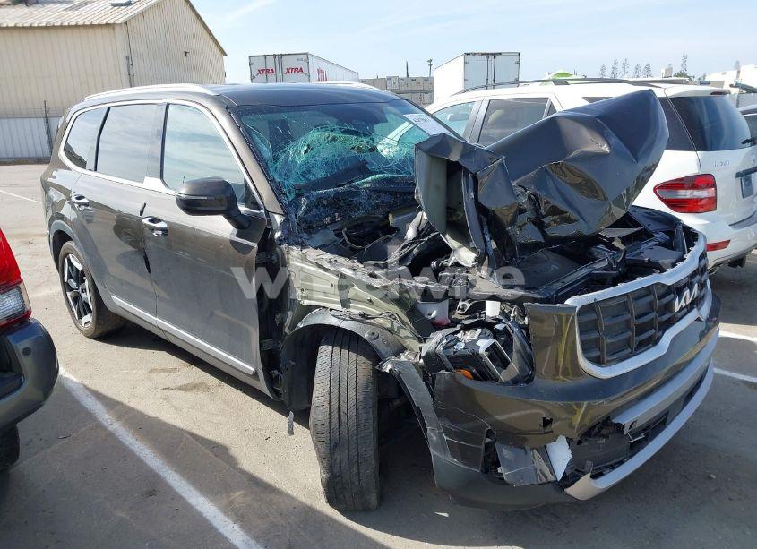 Photo 13 of 2023 Kia Telluride S (VIN 5XYP6DGC0PG334800)