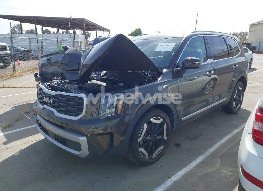 Photo 2 of 2023 Kia Telluride S (VIN 5XYP6DGC0PG334800)