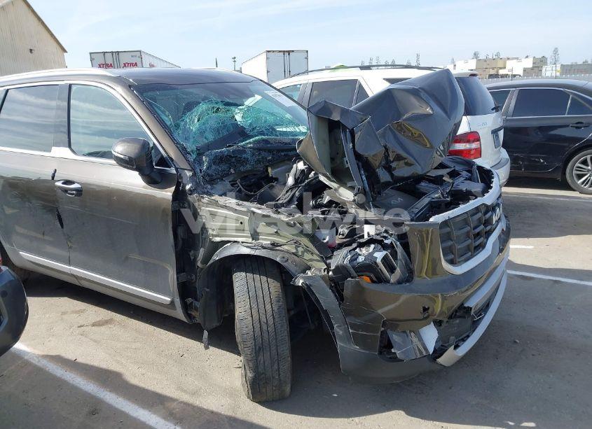 Photo 6 of 2023 Kia Telluride S (VIN 5XYP6DGC0PG334800)