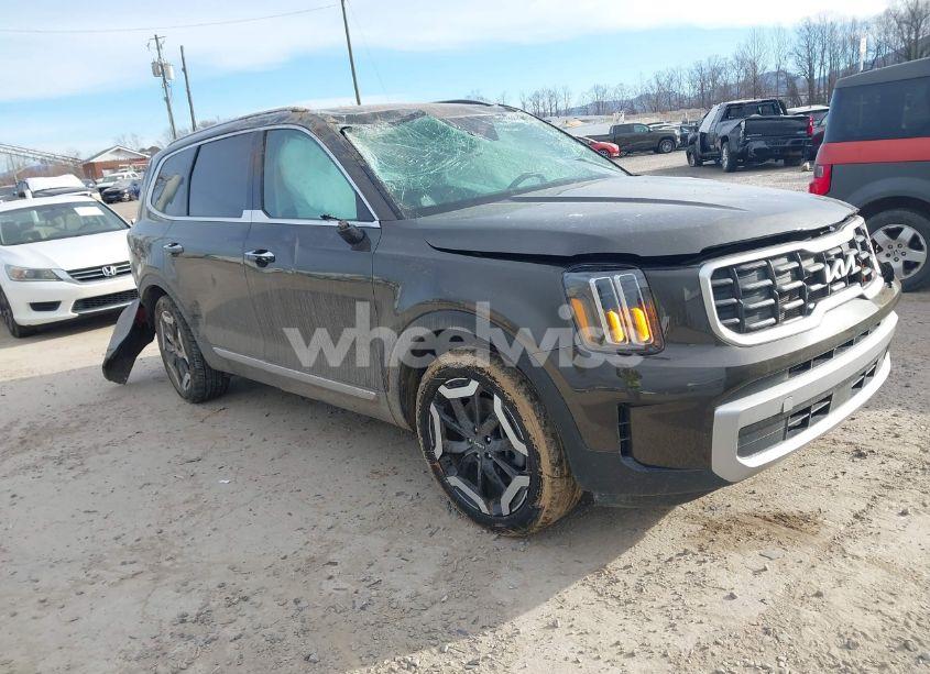 2024 Kia Telluride S (VIN 5XYP6DGC0RG477331) main photo