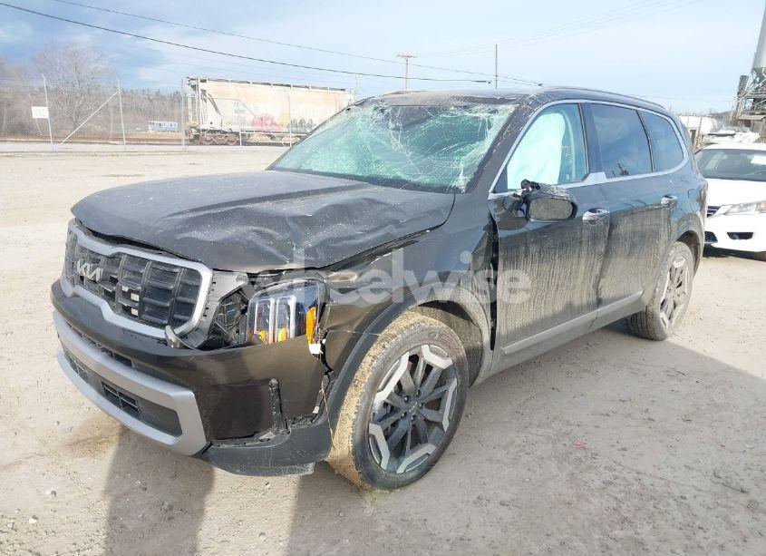 Photo 2 of 2024 Kia Telluride S (VIN 5XYP6DGC0RG477331)