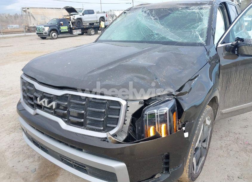 Photo 6 of 2024 Kia Telluride S (VIN 5XYP6DGC0RG477331)