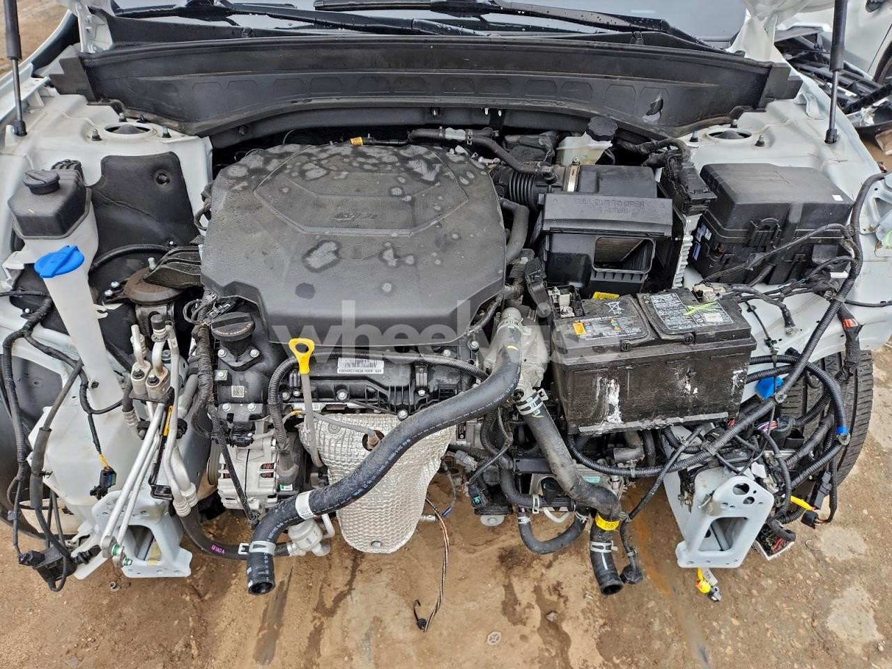 Photo 12 of 2024 KIA TELLURIDE S (VIN 5XYP6DGC2RG542177)