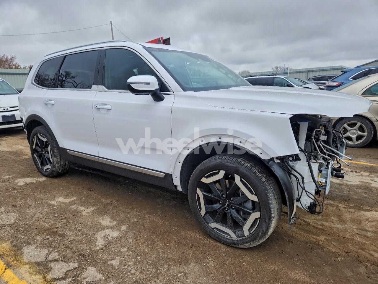 Photo 4 of 2024 KIA TELLURIDE S (VIN 5XYP6DGC2RG542177)