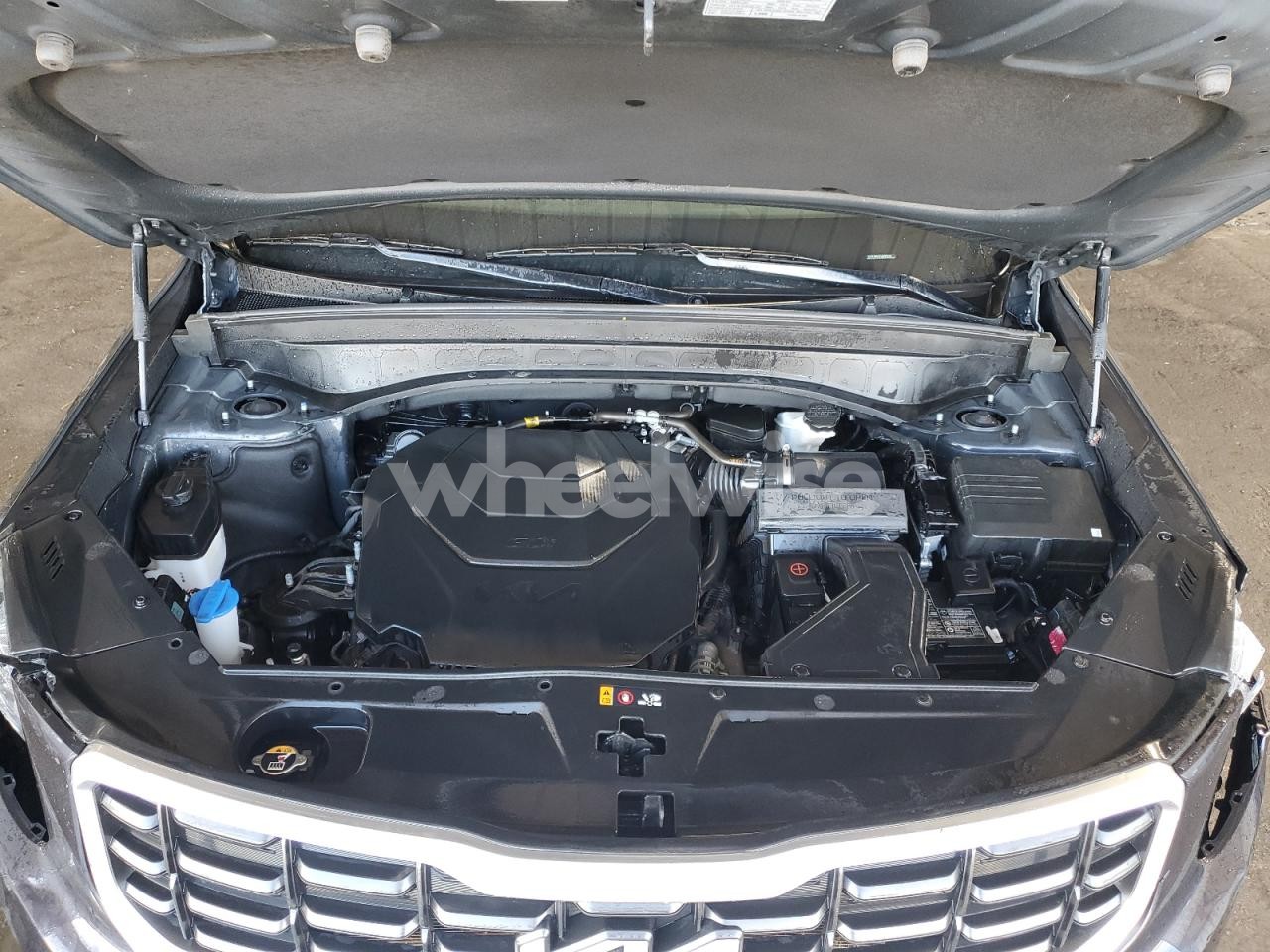Photo 12 of 2025 KIA TELLURIDE S (VIN 5XYP6DGC2SG586900)