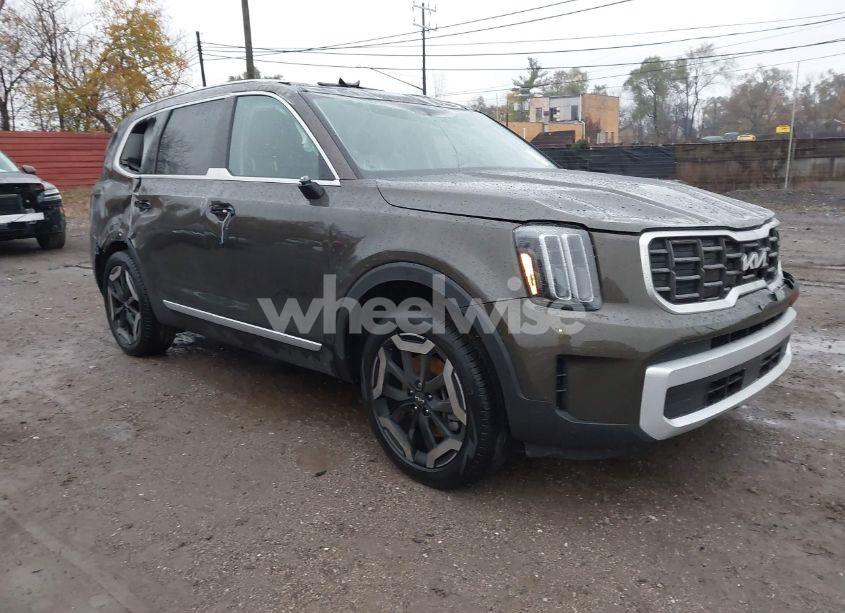 2024 Kia Telluride S (VIN 5XYP6DGC3RG556864) main photo