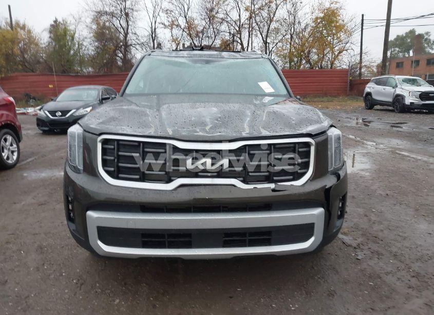 Photo 12 of 2024 Kia Telluride S (VIN 5XYP6DGC3RG556864)