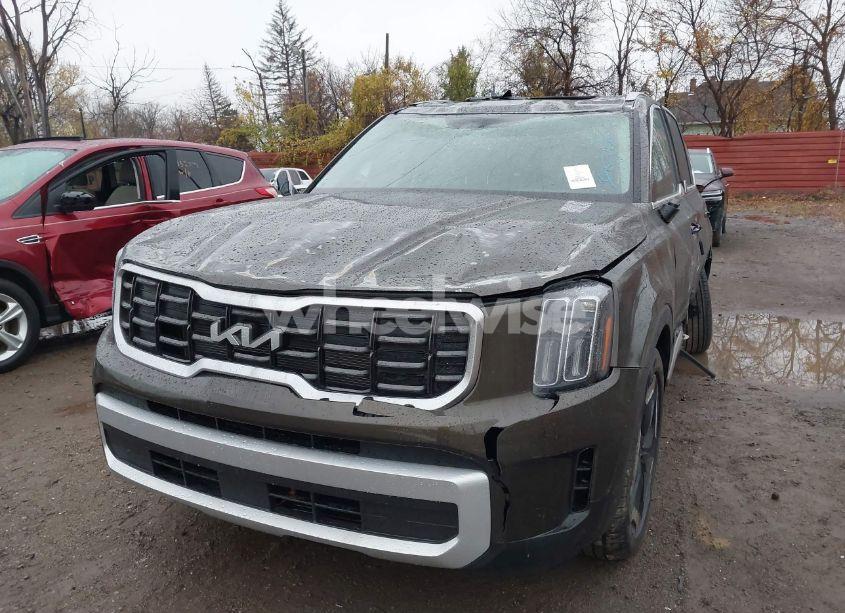 Photo 17 of 2024 Kia Telluride S (VIN 5XYP6DGC3RG556864)