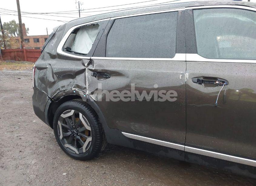 Photo 19 of 2024 Kia Telluride S (VIN 5XYP6DGC3RG556864)
